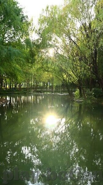 澳门威尼斯人569vn.com-澳门威尼斯人，一个梦幻度假胜地的独特魅力