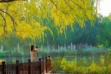 足球即时比分.-足球即时比分，连接赛场与球迷的实时纽带